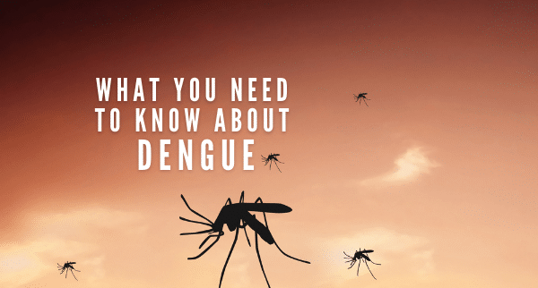 What you need to know about Dengue